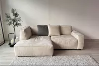 蘇菲亞 Sophia L型